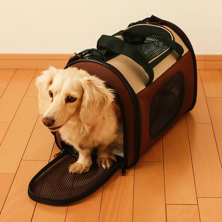 아이리스 애견 접이식 캐리어,중형 Costco 코리아