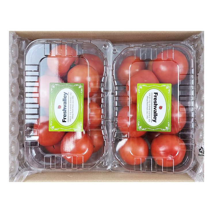 Tomatoes 5kg 604234