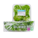 무농약 버터헤드 레터스 4입 + 무농약 미니 로메인 5입 무농약 버터헤드 레터스 4입 + 무농약 미니 로메인 5입