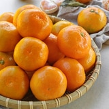 귤림원 감귤세트 5kg