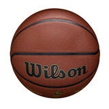 윌슨 NBA 얼라이언스 시그니쳐 농구공 윌슨 NBA 얼라이언스 시그니쳐 농구공