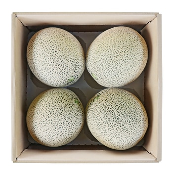 멜론선물세트8kg