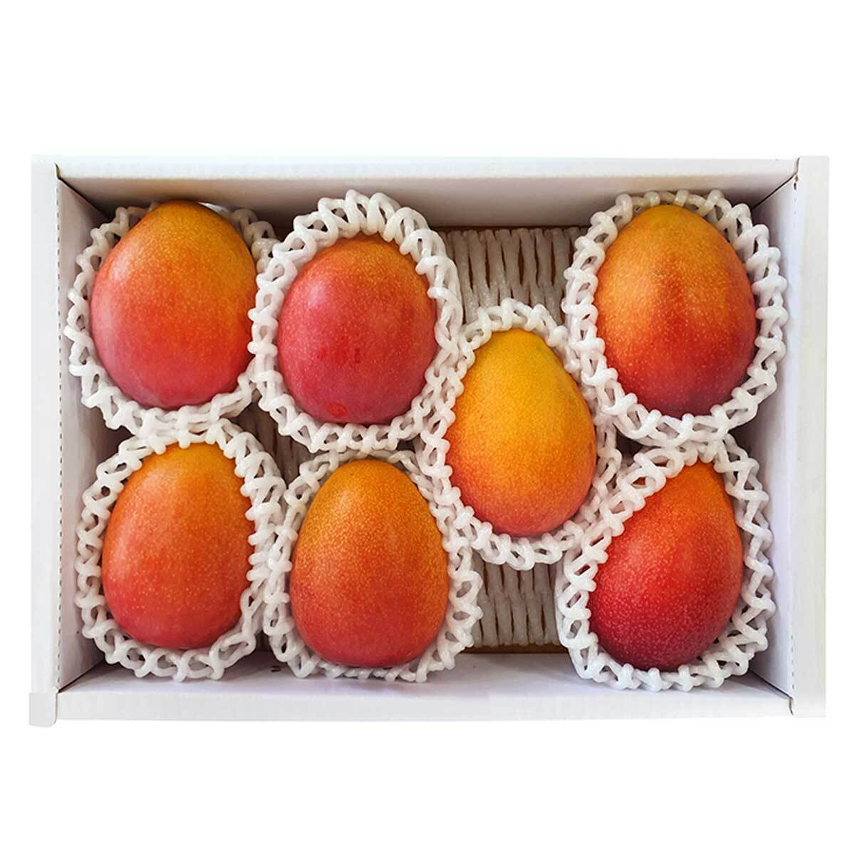 제주애플망고3kg (6~8입) 제주애플망고3kg (6~8입)