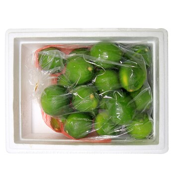 멕시코 후레쉬 라임 2kg 멕시코 후레쉬 라임 2kg