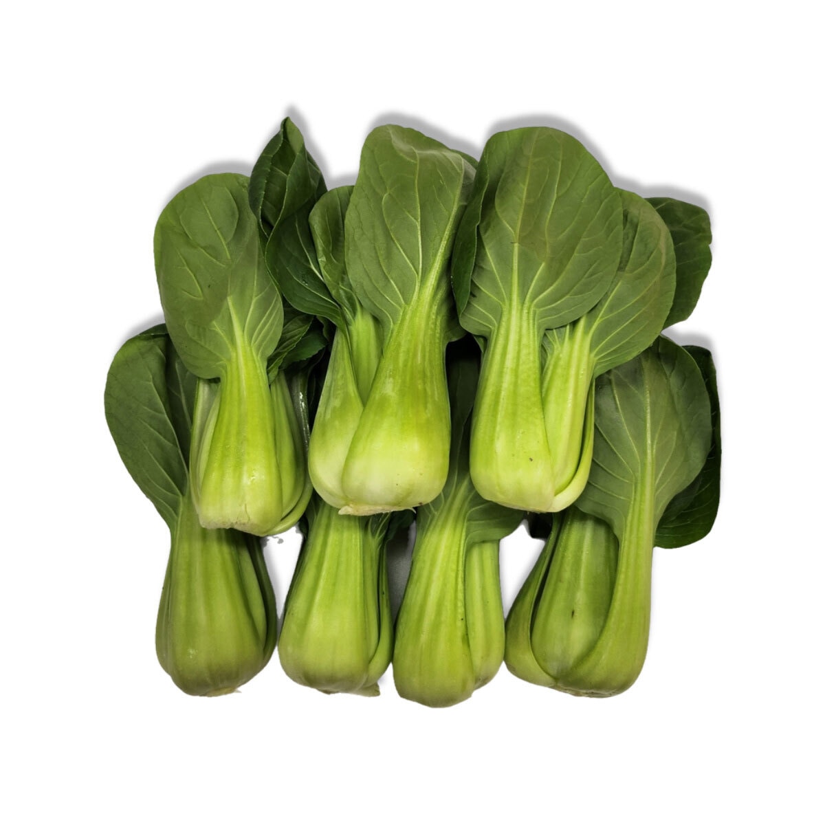 청경채 700g x 2ct