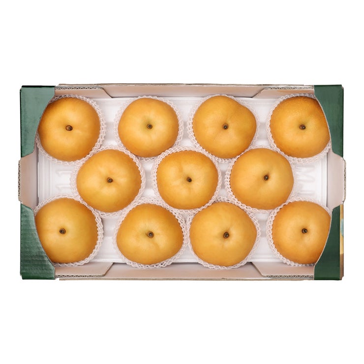 추황배 5kg 추황배 5kg