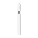 Apple 펜슬 (USB-C)