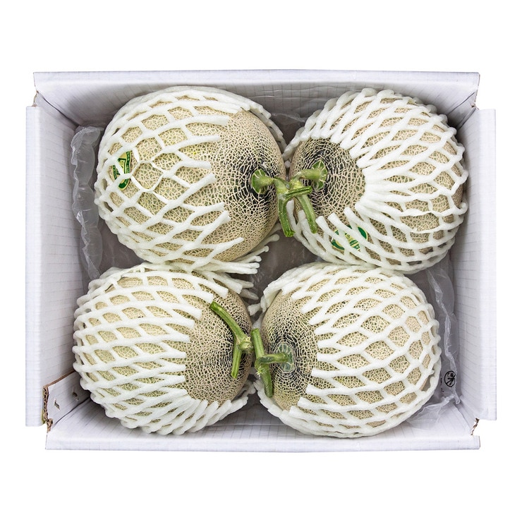 Seji Melon 5kg(3-4EA) 638914