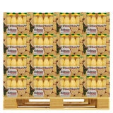 Solimon 스퀴즈드 레몬주스 1L x 2 x 288