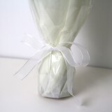 꽃다발 미니 장미 & 파블로 - (장미 - 살몬, 파블로 - 그린)