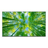 엘지 4K UHD TV 75UQ8300NNA 189cm (75)