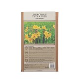 수선화 구근 / 최소구매 2 - 테테아테테 수선화 구근 / 최소구매 2 - 테테아테테