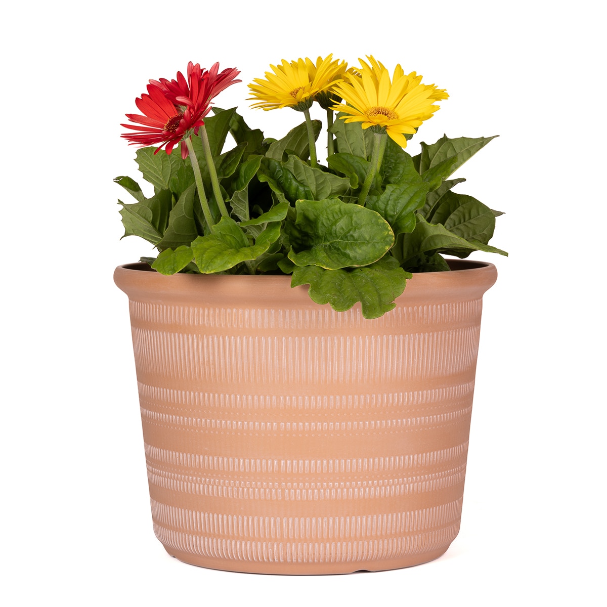 포럼 레진 화분 3개 - 테라코타 포럼 레진 화분 3개 - 테라코타