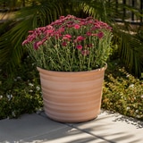 포럼 레진 화분 3개 포럼 레진 화분 3개