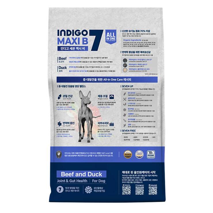 인디고 세븐 맥시비 포 독 8kg
