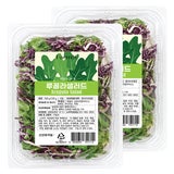 루꼴라샐러드 500g x 2입 루꼴라샐러드 500g x 2입