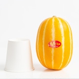고당도 참외 10kg