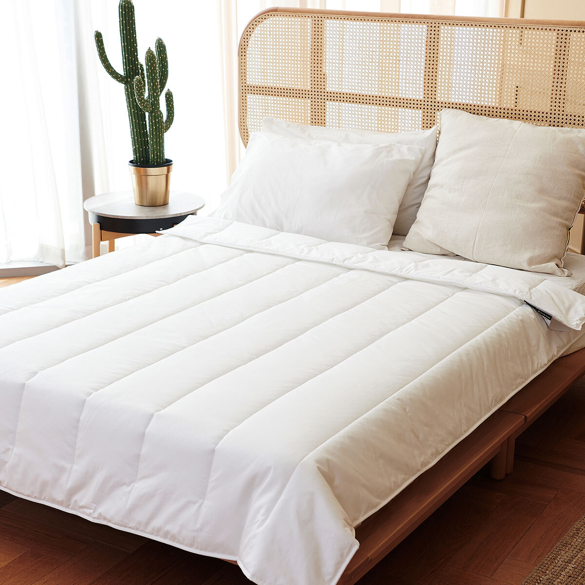 센타스타 엘레강스 프리미엄 사계절 이불 - 싱글 센타스타 엘레강스 프리미엄 사계절 이불 - 싱글