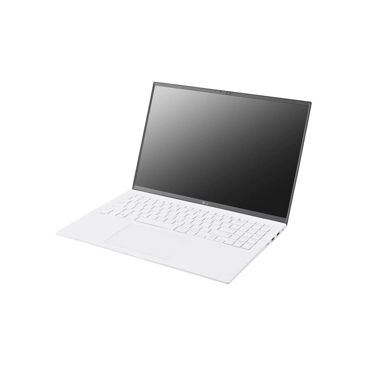 엘지 노트북 그램 43.1cm(17/i5/16GB/512GB)