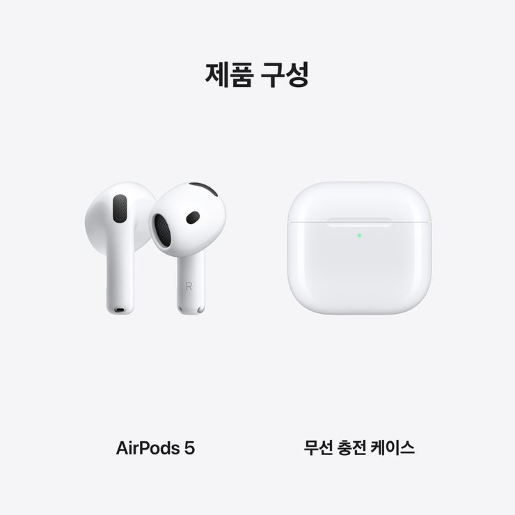 Apple 에어팟 5세대 무선 충전 케이스 모델