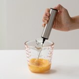 아르떼 플러스 휴대용 펜타입 거품기