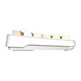 AULA 유무선 기계식 키보드 F108 황축 치즈화이트