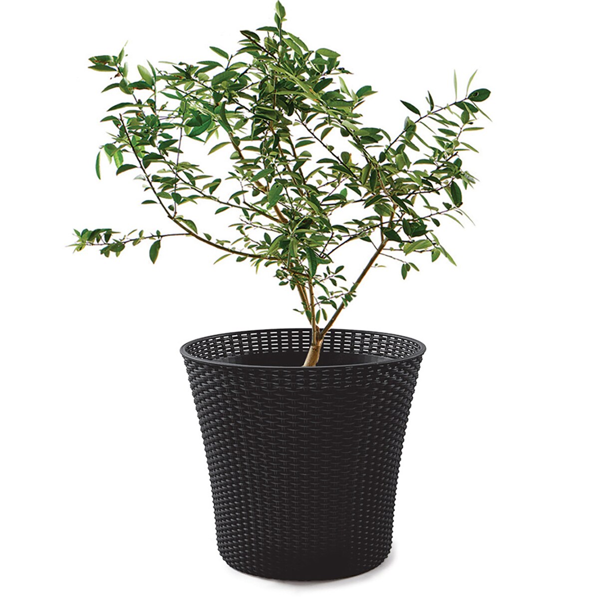 케터 코닉 화분 54cm
