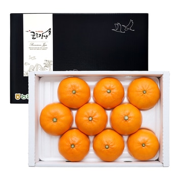 제주 천혜향 선물세트 3kg 9~12입