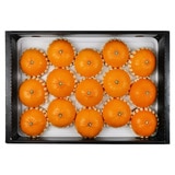 제주 천혜향선물세트 5kg(15~24입)