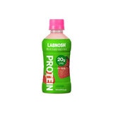 랩노쉬 프로틴 드링크 260ml x 24개