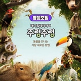 주렁주렁 실내동물원 이용권 (영등포점) 주렁주렁 실내동물원 이용권 (영등포점)