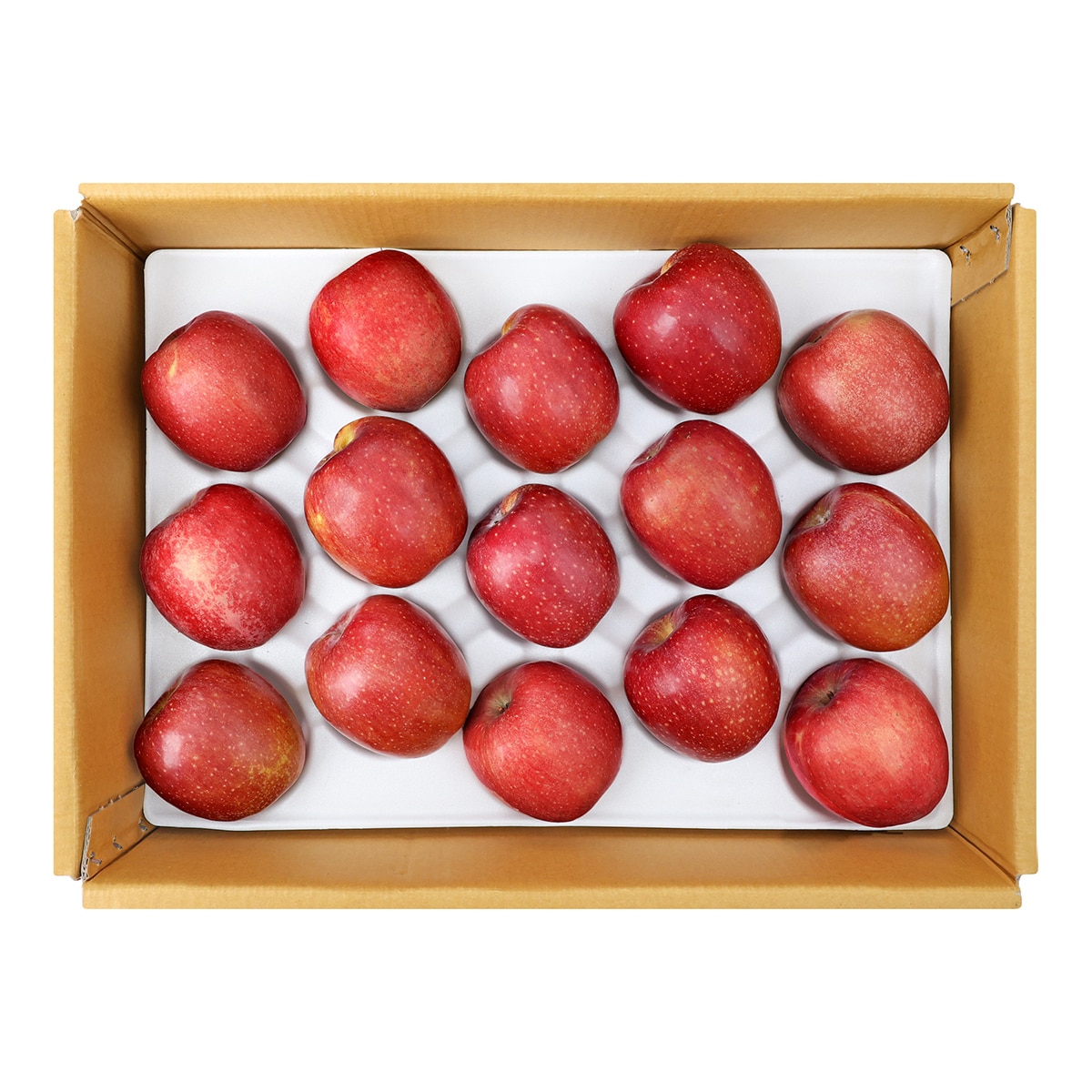 감홍사과 5kg 감홍사과 5kg