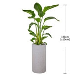 [서울/경기배송]여인초 130cm - 그레이 화분