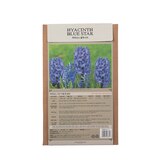 히아신스 구근 / 최소구매 2 - 블루스타 히아신스 구근 / 최소구매 2 - 블루스타