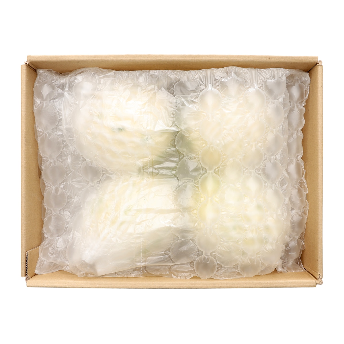 백자멜론 5kg 백자멜론 5kg