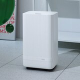 오드앵글 제습기 8L OD-DH8053WH