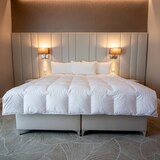 NATURTEX 헝가리안 구스 이불 - 퀸