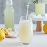 갈바니나 유기농 탄산음료 355ml x 12 - 레몬