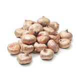 글라디올러스 구근 / 최소구매 2 - 트레이더혼 글라디올러스 구근 / 최소구매 2 - 트레이더혼