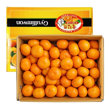 귤림원 감귤세트 5kg