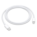 Apple USB-C-라이트닝 케이블 (1m)