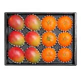 레드향&애플망고세트4kg (12입)