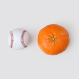 제주 레드향 선물세트 3kg 6~9입