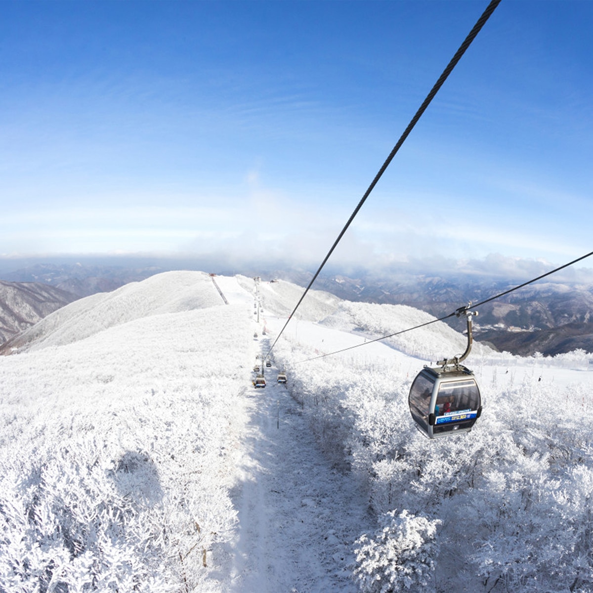 하이원 리조트 스키 리프트 7시간 이용권 (대인)