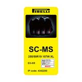 피렐리 스콜피온 MS 255/50R19 107W XL