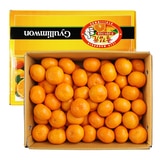 귤림원 감귤세트 5kg