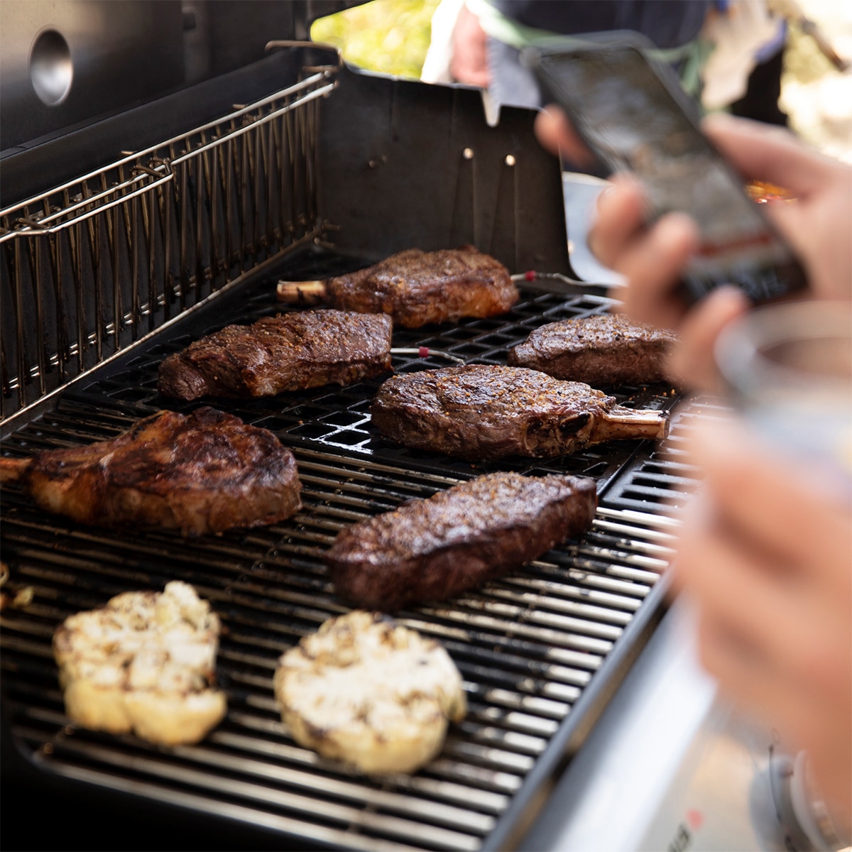 Weber Genesis Gas Grill SE-EPX-335