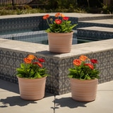 포럼 레진 화분 3개 포럼 레진 화분 3개