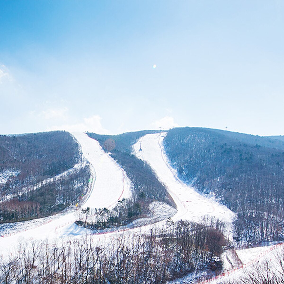 하이원 리조트 스키 리프트 7시간 이용권 (대인)