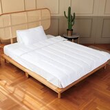 센타스타 엘레강스 프리미엄 사계절 이불 - 싱글 센타스타 엘레강스 프리미엄 사계절 이불 - 싱글